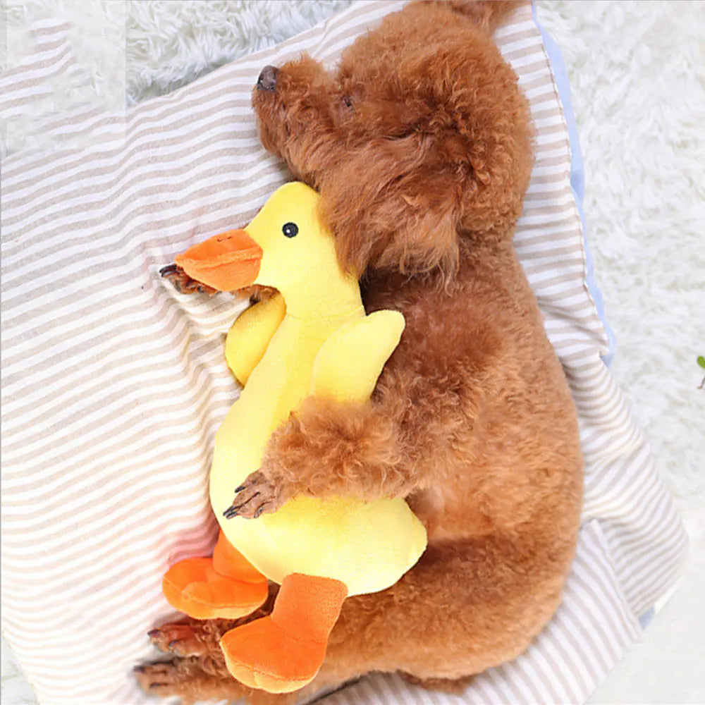 DuckTune