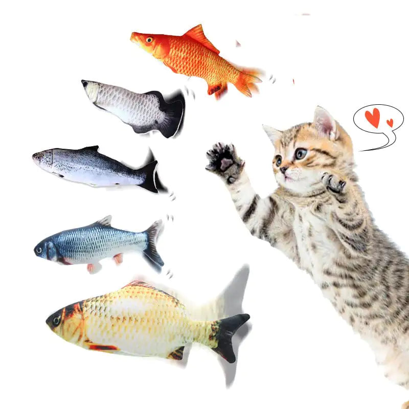 FishyCat