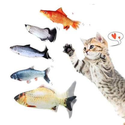 FishyCat