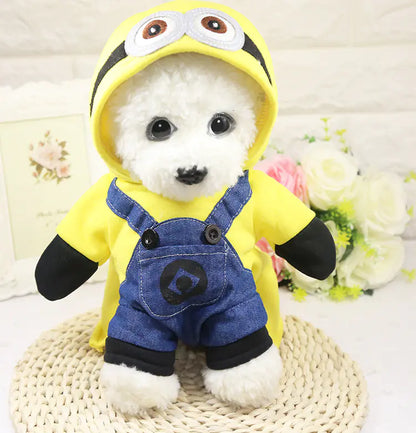 Minion custom