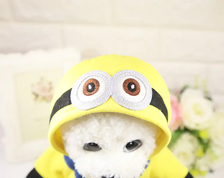 Minion custom