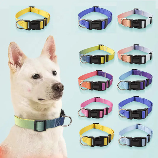 Conjunto de Collar y Correa de Nylon para Perros