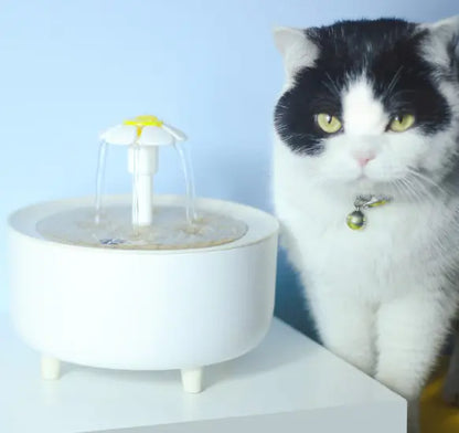 Fuente de agua automática para gatos