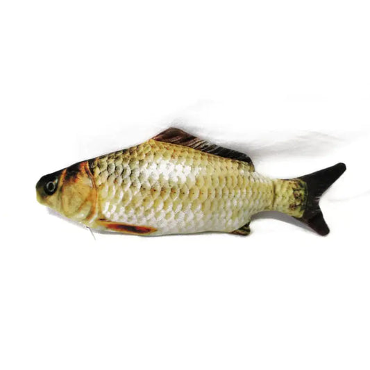 FishyCat