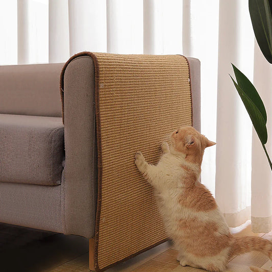 Tapete Protector para Arañar de Gato