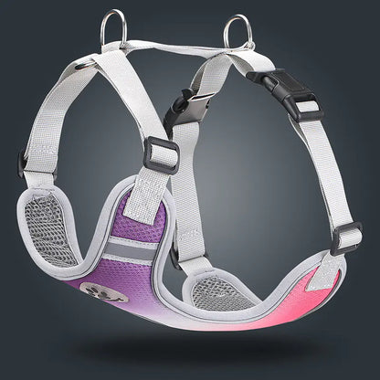 Arnes GlowWalk