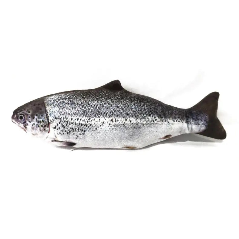 FishyCat