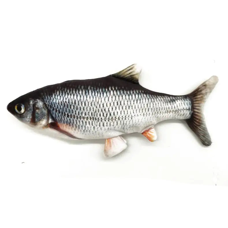 FishyCat