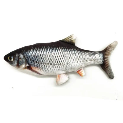 FishyCat