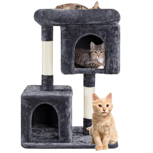 CatPal Paradise
