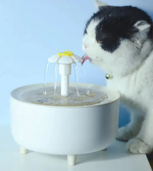 Fuente de agua automática para gatos